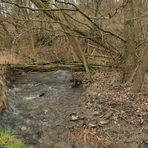 Niedgesbach zwischen Finsternthal und Ruine Landstein 05