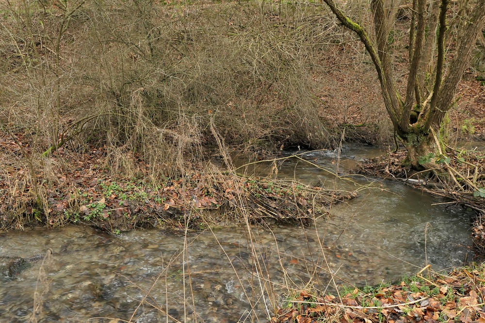 Niedgesbach zwischen Finsternthal und Ruine Landstein 06