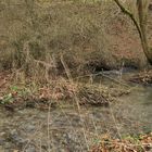 Niedgesbach zwischen Finsternthal und Ruine Landstein 06