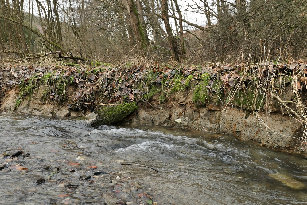 Niedgesbach zwischen Finsternthal und Ruine Landstein 07