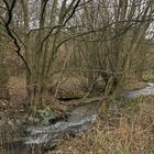 Niedgesbach zwischen Finsternthal und Ruine Landstein 08