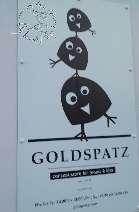 Niedliche Goldspatzen aus einem Schaufenster_27.10.2023