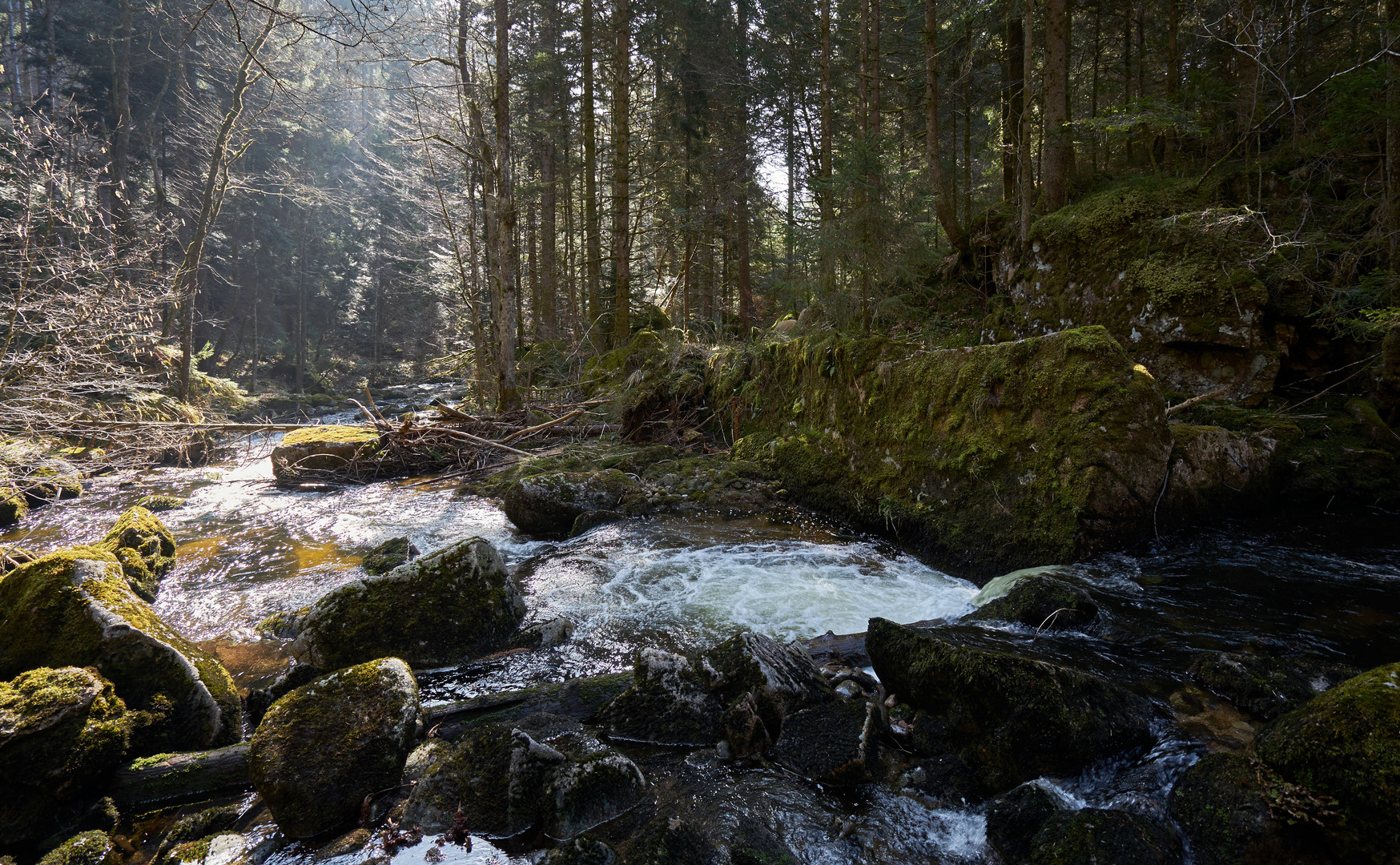 Niedrig Wasser