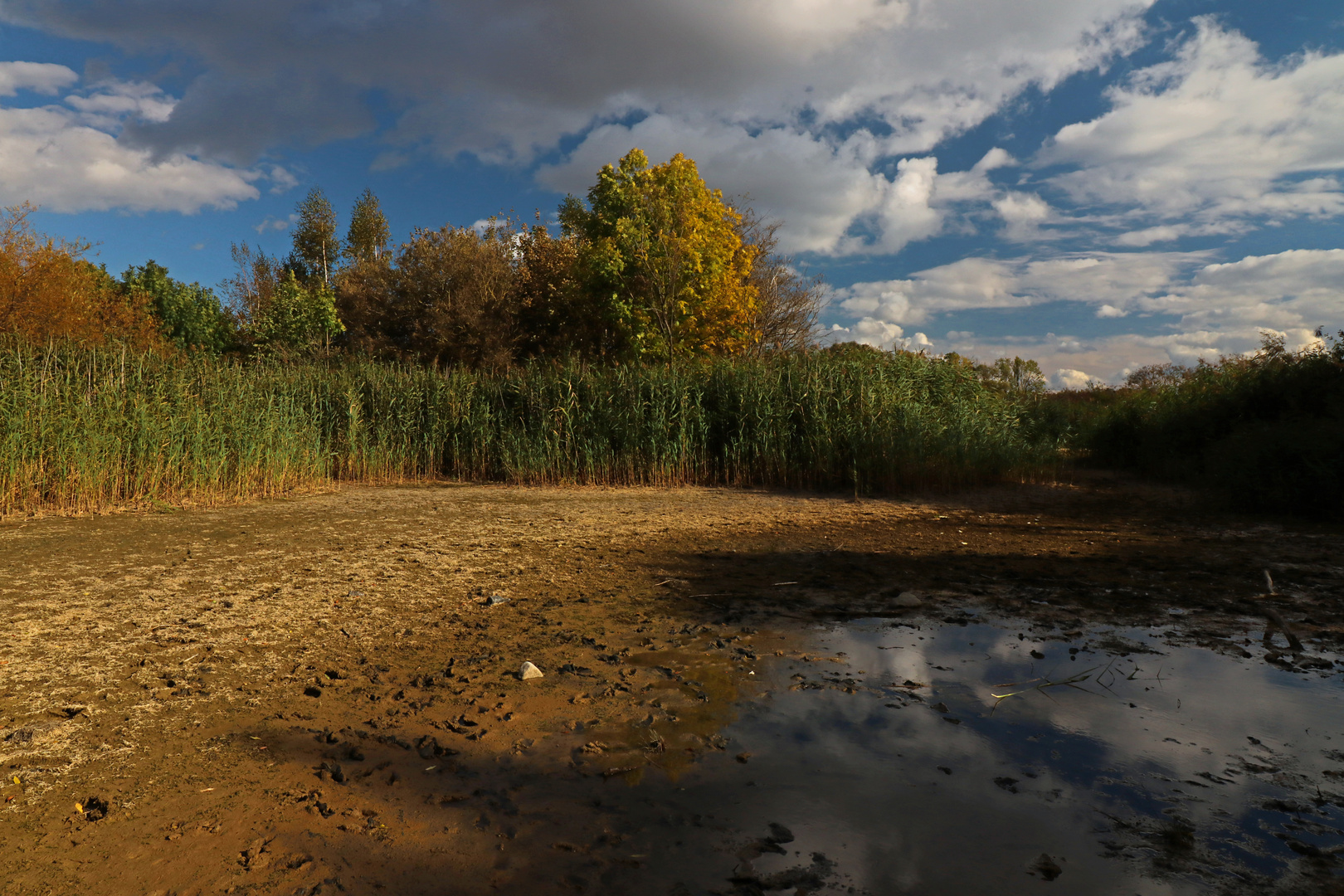 Niedriger Wasserstand