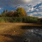 Niedriger Wasserstand