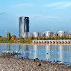 Niedrigwasser (82cm)  am Rhein bei Mülheim mit dem neuen Wohnturm  " OPAL" 