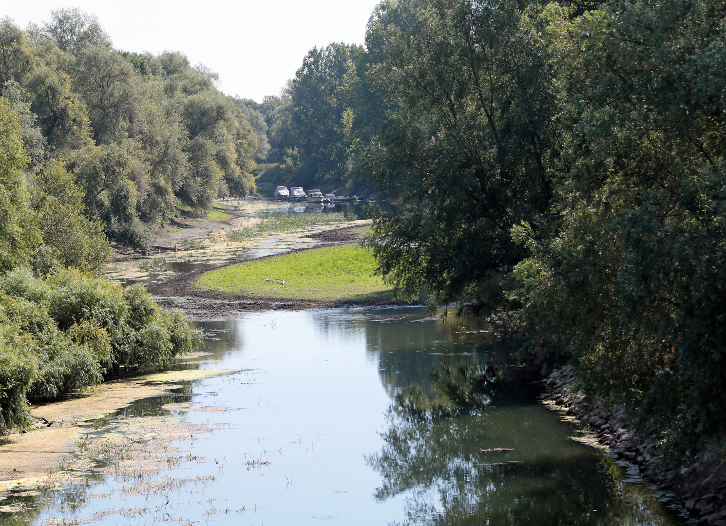 Niedrigwasser, Altrhein, Riedstadt-Erfelden