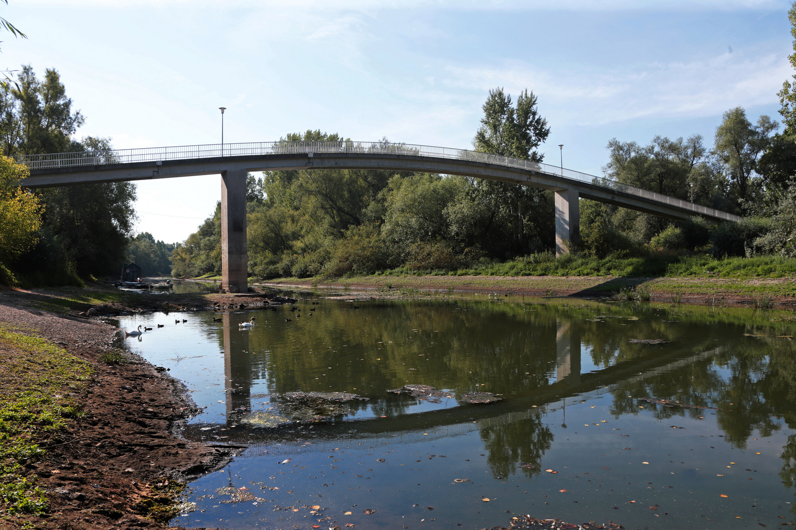 Niedrigwasser, Altrhein, Riedstadt-Erfelden