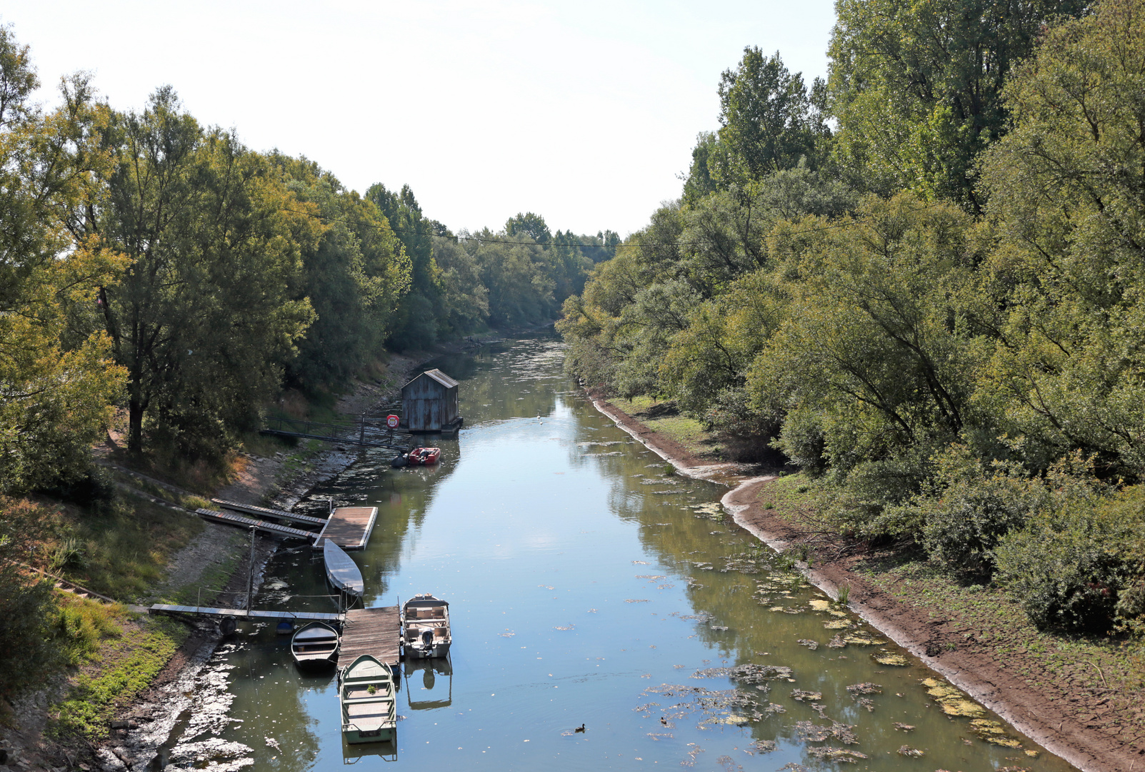 Niedrigwasser, Altrhein, Riedstadt-Erfelden