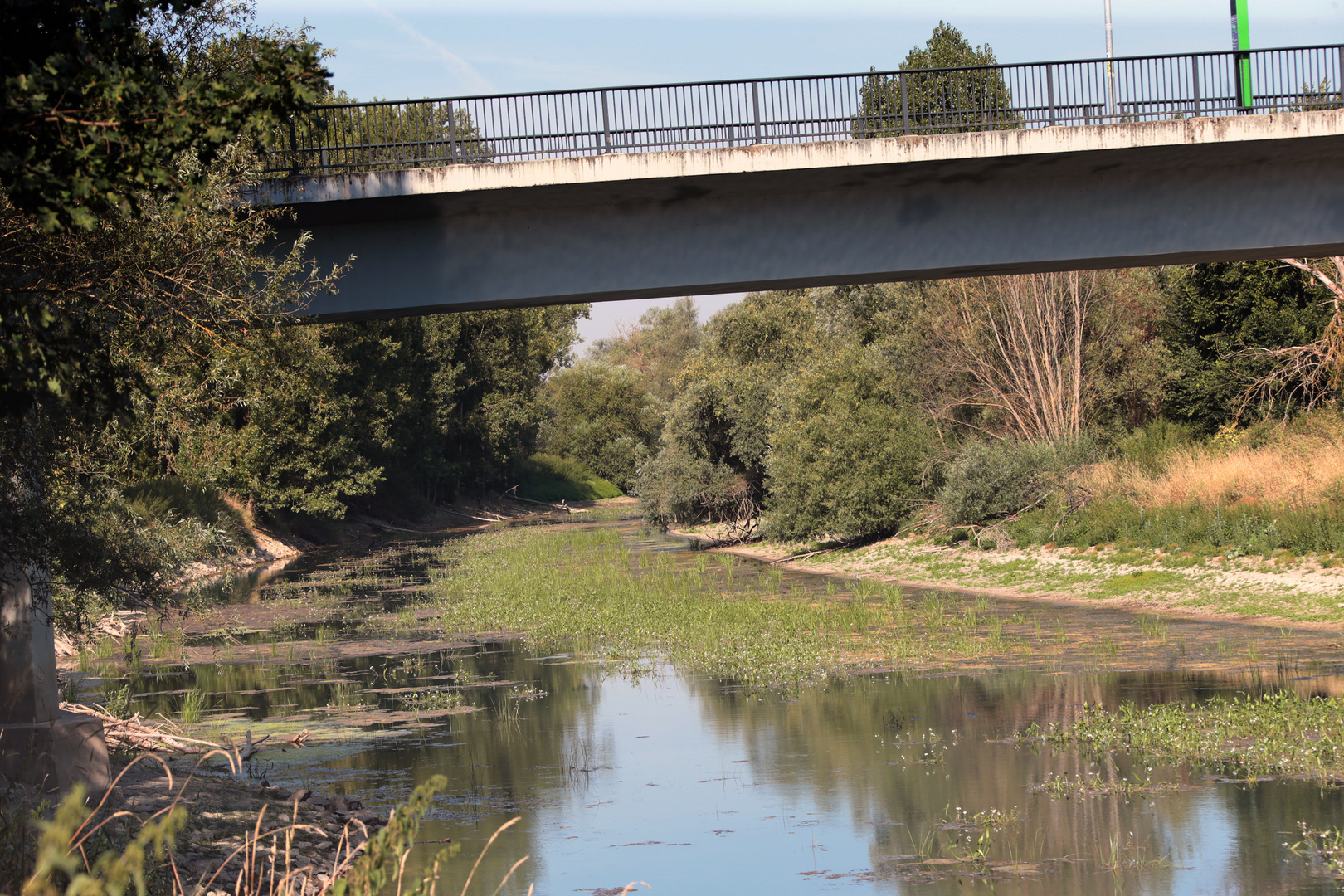 Niedrigwasser, Altrhein, Stockstadt