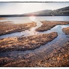 Niedrigwasser am Kinzig Stausee bei Ahl