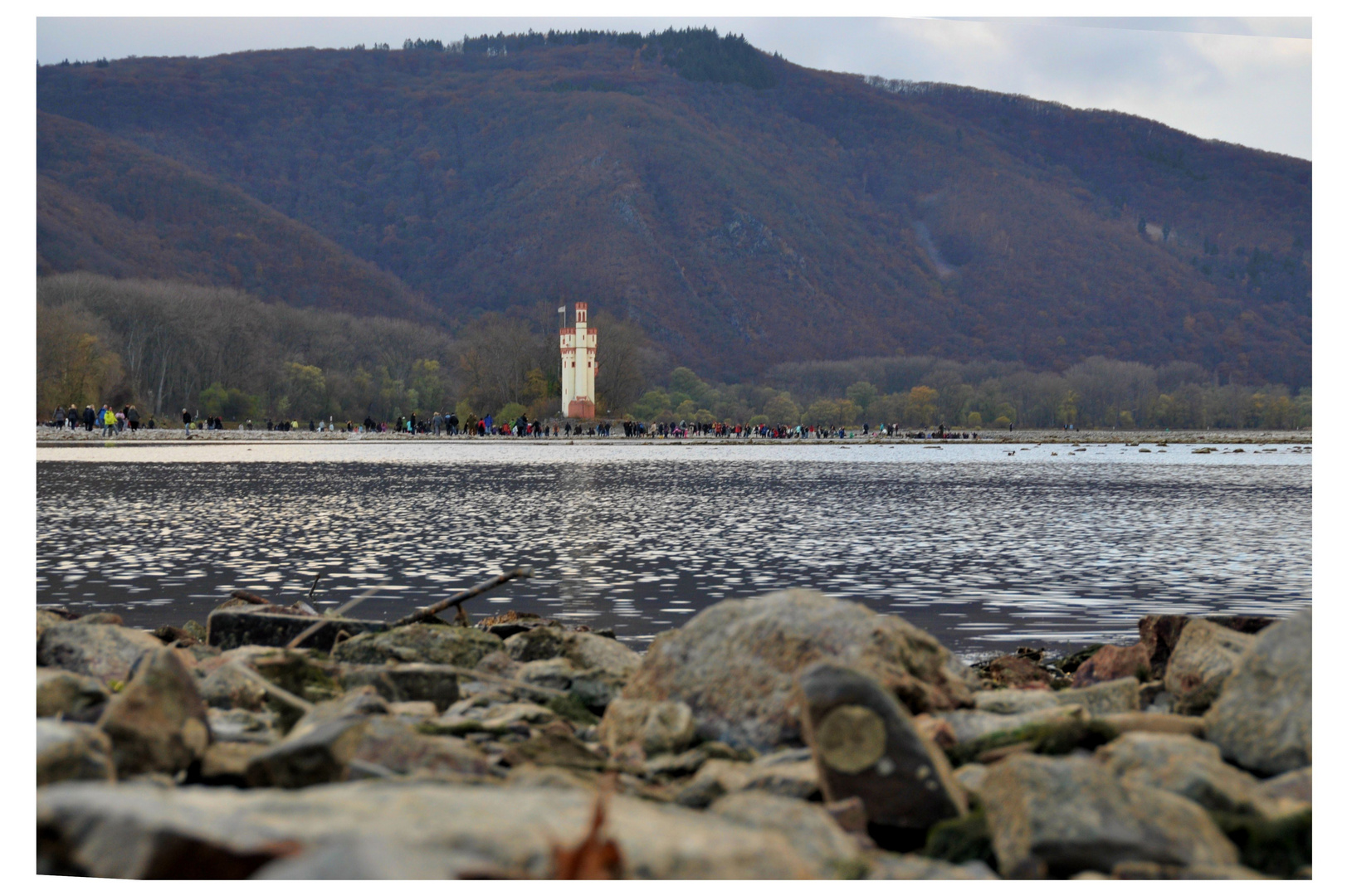 Niedrigwasser am Rhein