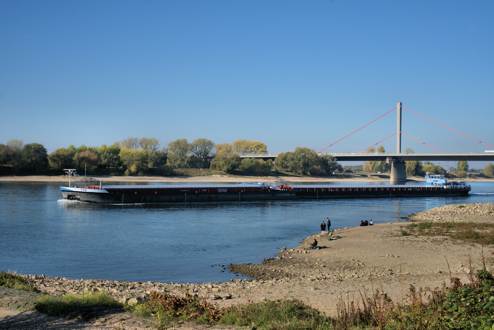 Niedrigwasser am Rhein 3