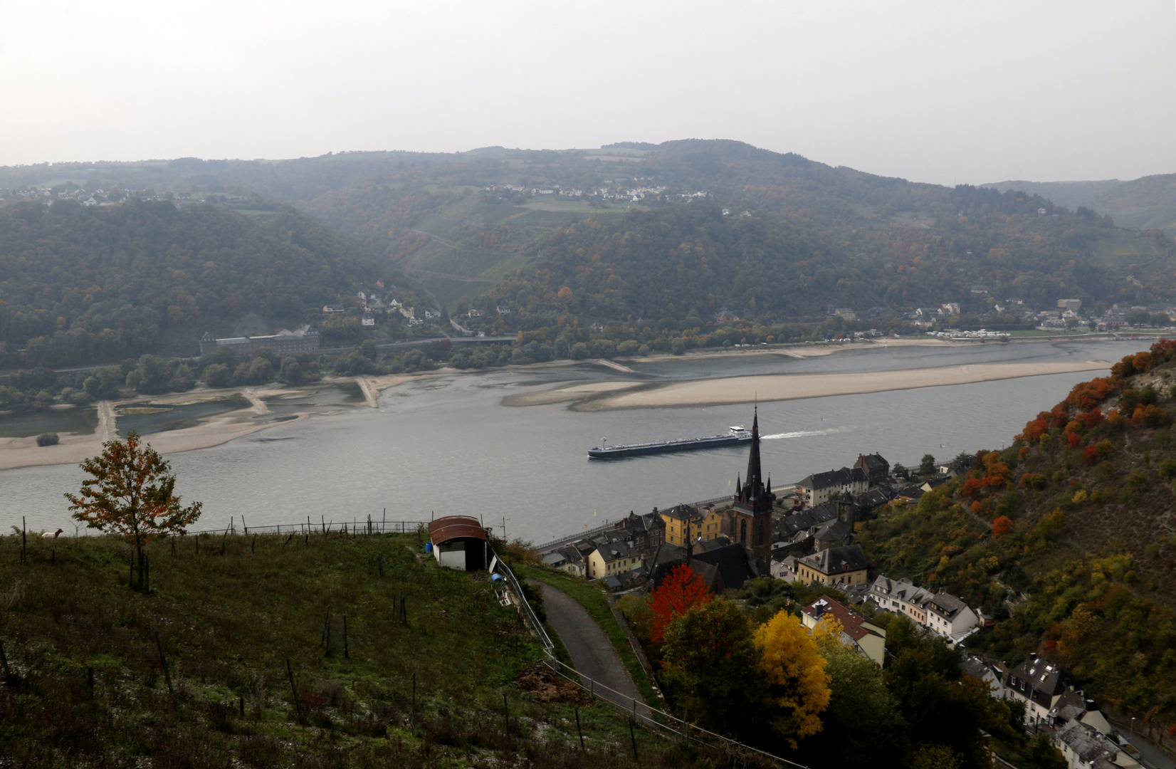 Niedrigwasser am Rhein