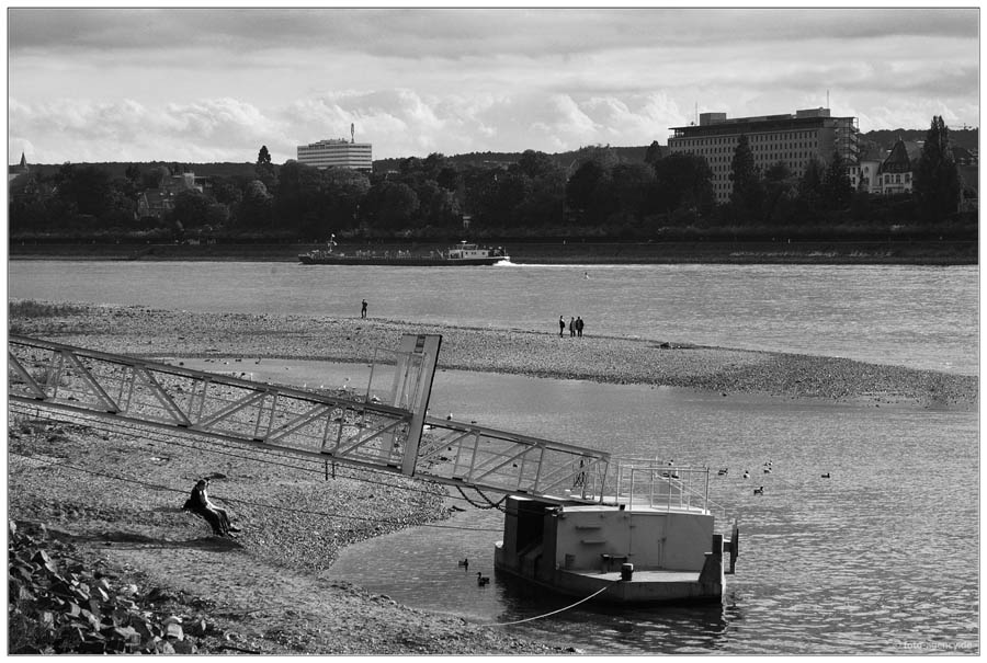 Niedrigwasser am Rhein