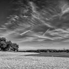 Niedrigwasser am Rhein