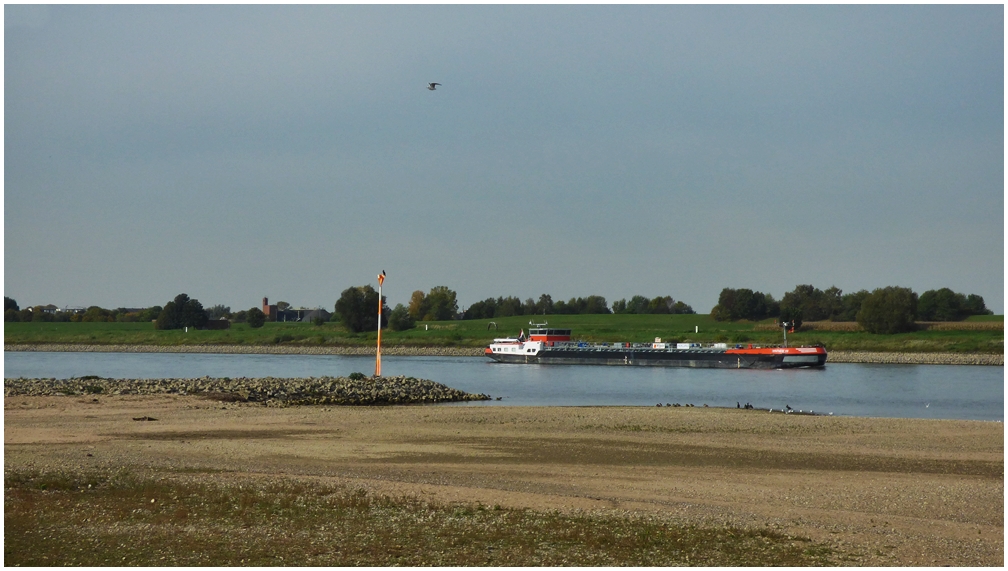 Niedrigwasser am Rhein