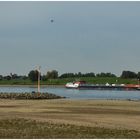 Niedrigwasser am Rhein