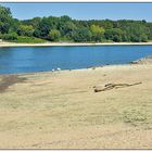 Niedrigwasser am Rhein