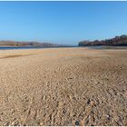 Niedrigwasser am Rhein