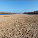 Niedrigwasser am Rhein