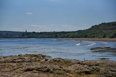 Niedrigwasser am Rhein bei Nierstein