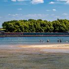 Niedrigwasser am Rhein beim Strandbad Oppenheim