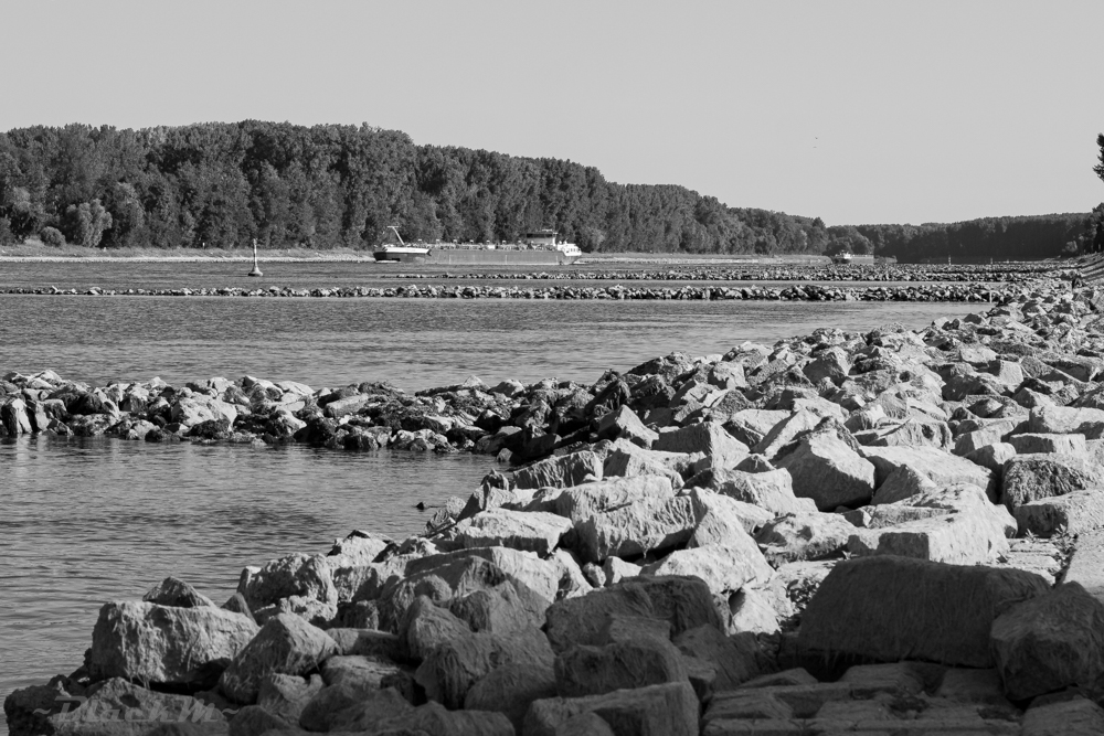 Niedrigwasser am Rhein