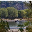 Niedrigwasser am Rhein in Bonn