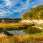 Niedrigwasser am See