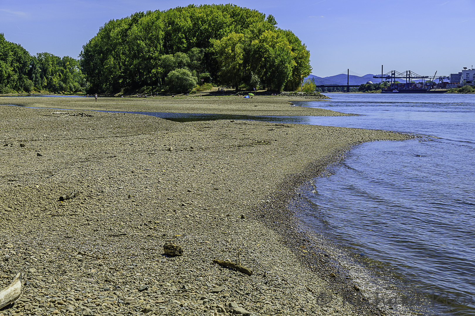 Niedrigwasser an der Siegmündung in den Rhein