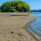 Niedrigwasser an der Siegmündung in den Rhein