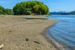 Niedrigwasser an der Siegmündung in den Rhein