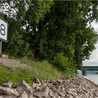 Niedrigwasser bei Rhein-Kilometer 588