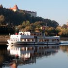 Niedrigwasser der Elbe  bei Pirna