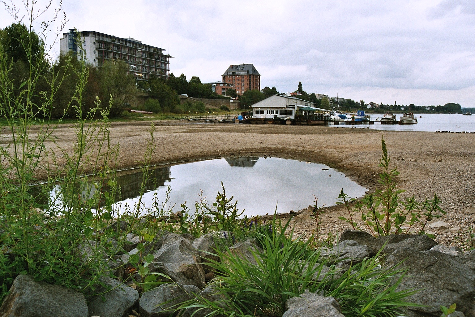 Niedrigwasser im Rhein #2