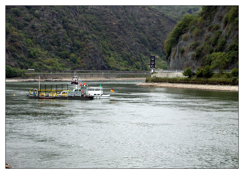 Niedrigwasser im Rhein