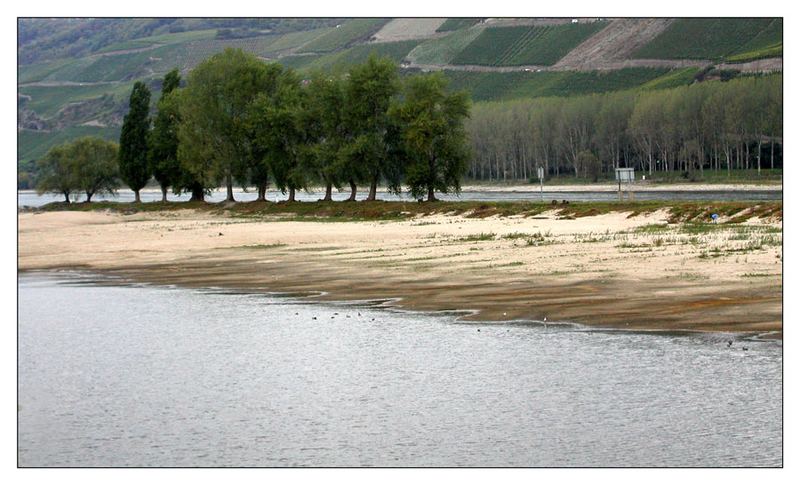 Niedrigwasser im Rhein