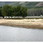 Niedrigwasser im Rhein