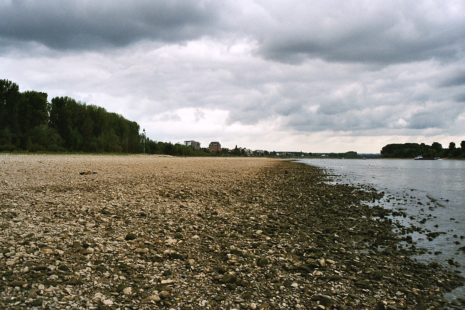 Niedrigwasser im Rhein