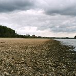 Niedrigwasser im Rhein