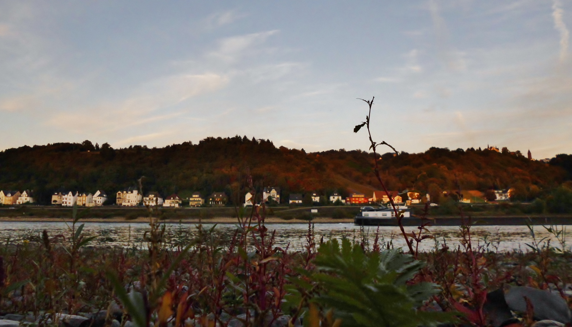 Niedrigwasser im Rhein bei Sonnenuntergang