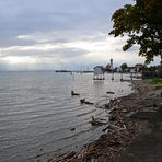 Niedrigwasser in Wasserburg am Bodensee