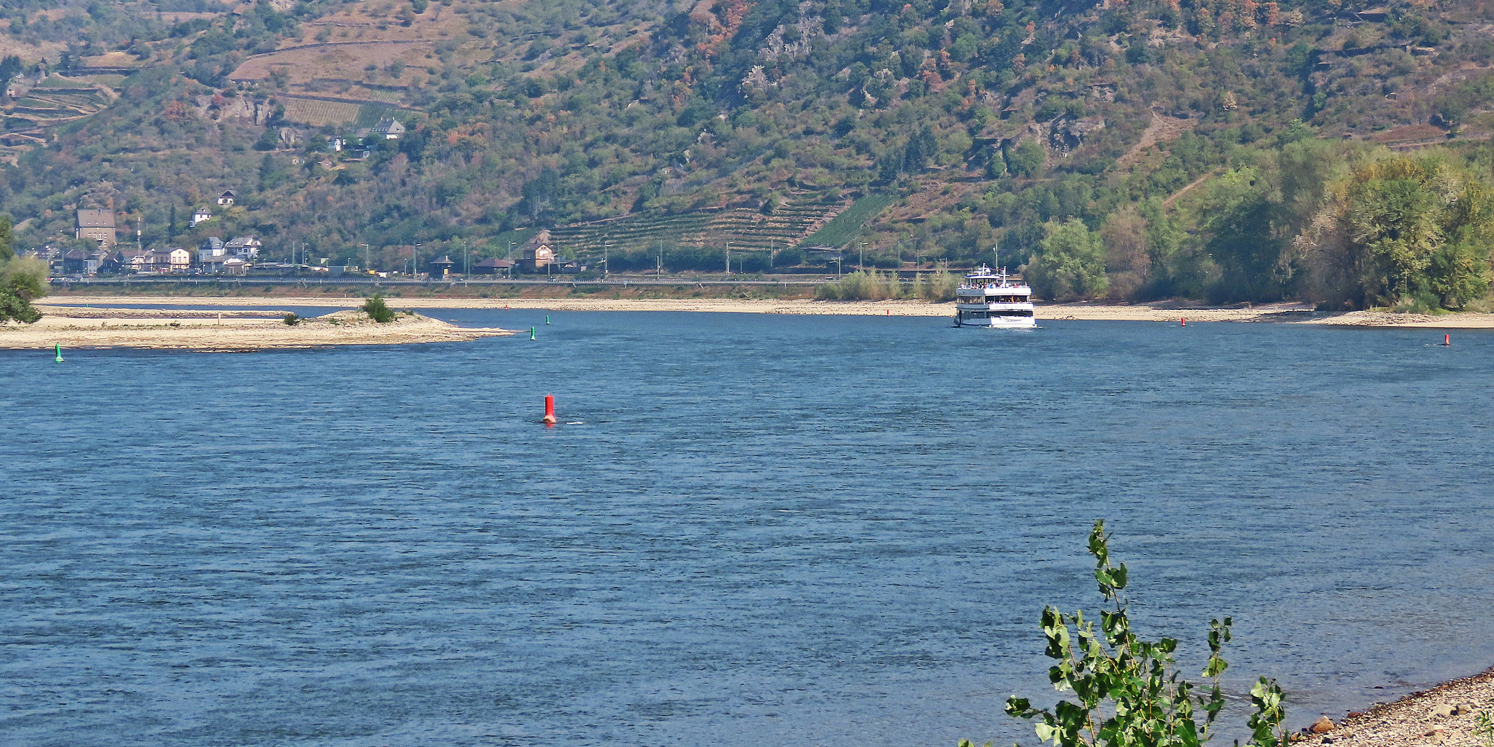 Niedrigwasser - Rhein bei Bacharach
