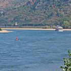 Niedrigwasser - Rhein bei Bacharach