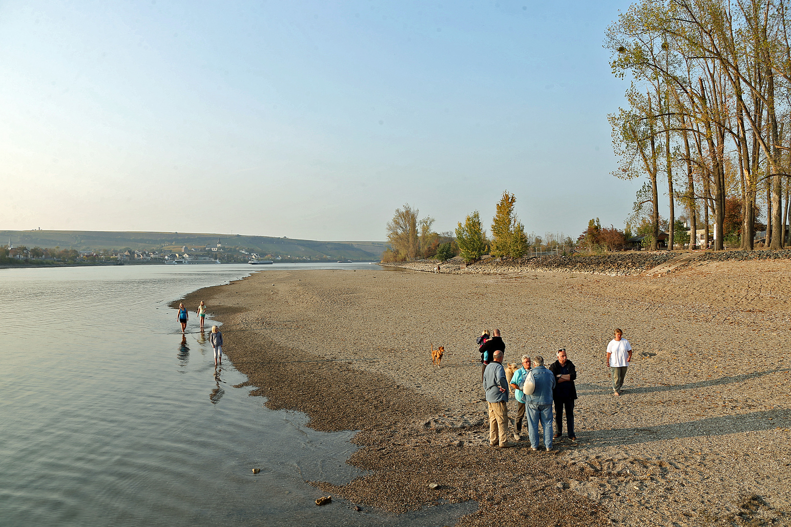Niedrigwasser Rhein bei Nierstein / Kornsand -3-