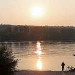 Niedrigwasser Rhein bei Nierstein / Kornsand -4-