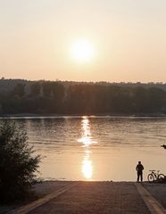 Niedrigwasser Rhein bei Nierstein / Kornsand -4-