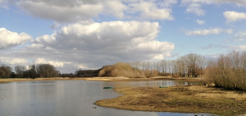 Niedrigwasser - Stausee Friemar