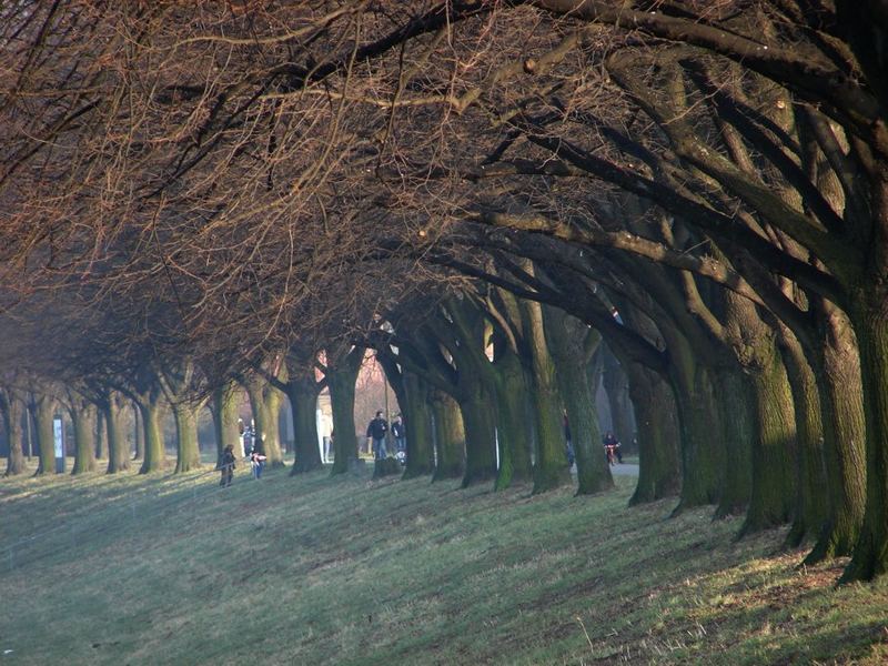 Niehler Rheinpromenade